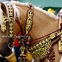 Araber_Berber_46_(1)