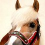 Haflinger30_(5a)