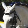 Lusitano49_(18)