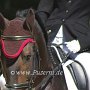 Lusitano49_(35)