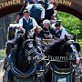 Percheron-G1_6a_(22)