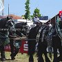 Percheron-G1_6a_(26)