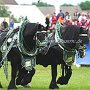 Percheron-G6a_(8)